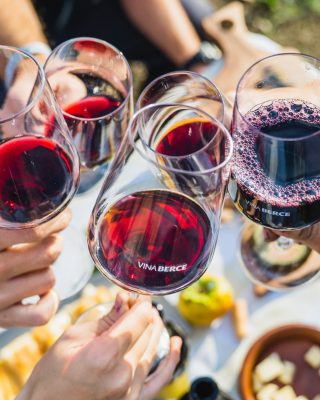 Merlot 2015 Single vineyard BERCE